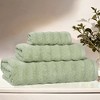 Waffle Textured Stripes Zero Twist Cotton Medium Weight Towel Set by Blue Nile Mills - 2 of 4