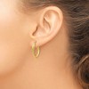 Black Bow Jewelry 3mm x 23mm (7/8 Inch) 14k Yellow Gold Double Oval Hoop Earrings - 4 of 4