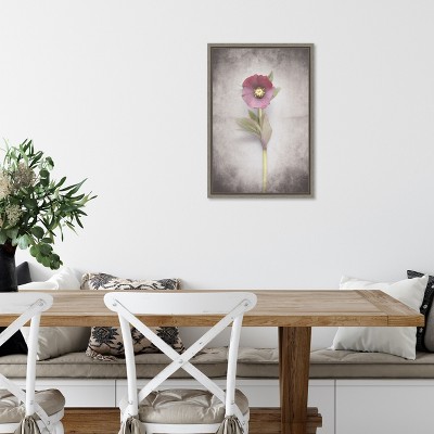 Vintage Hellebore Study VI Framed Canvas Wall Art