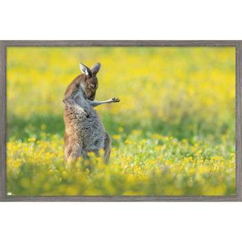 Trends International The Comedy Wildlife Photography Awards: Jason Moore - Air Guitar Roo Framed Wall Poster Prints