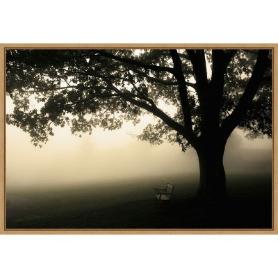 Amanti Art Shenandoah by Andy Magee Canvas Wall Art Print Framed 23 x 16-in.