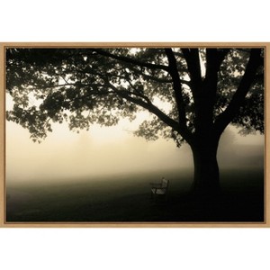 Amanti Art Shenandoah by Andy Magee Canvas Wall Art Print Framed 23 x 16-in. - 1 of 4