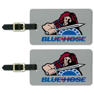 Presbyterian College Secondary Logo Luggage ID Tags Suitcase CarryOn Cards  Set of 2 - 1 of 4