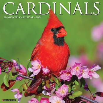 St Louis Cardinals 2022 12x12 Team Wall Calendar (Other) 