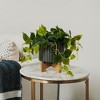 Forever Leaf Artificial Ivy Foliage Plant in Black Ceramic Pot, Indoor Artificial Plant for Home Decor - 3 of 4