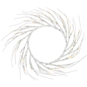 The Lakeside Collection 24" Lighted Birch Wreath - 1 of 4