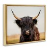 Stupell Industries Black Highland Cow Portrait, 31" x 25" - 3 of 4