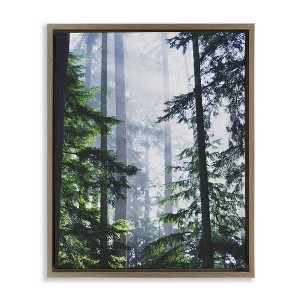 Stupell Industries Foggy Forest View, 31" x 25" - 1 of 4