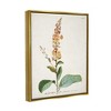 Stupell Industries Botanical Plant Illustration Flowers Vintage Design - 3 of 4