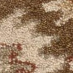 brown/green