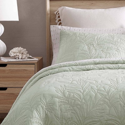 Costa Sera Sage Green Cotton Standard Shams, Set of 2
