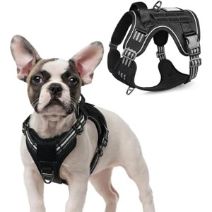 rabbitgoo Dog Harness No Pull with 2 Leash Clips, Adjustable Soft Padded, Reflective Oxford No Choke Pet Vest with Easy Control Handle , Red & Teal, S - 1 of 1