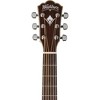Washburn EA20SNB Nuno Bettencourt Acoustic-Electric Guitar - 3 of 3