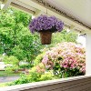 Floral Home 21" Lavender Hydrangea Bush with 5 Silk Flowers & Leaves + Aerosol Flower Cleaning Spray - 4 of 4