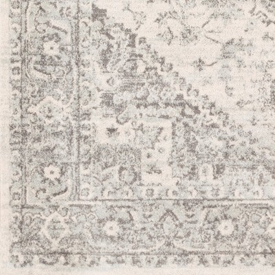 Chartres Light Gray Hand-Knotted Synthetic Area Rug
