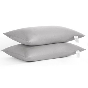 2 Pack Microfiber Pillows, Soft Down Alternative Hotel Bed Pillows for Side/Back Sleepers - NTBAY - 1 of 4