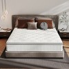 CHEVNI 12-14 Inch Mattress in a box Hybrid Spring Memory Foam Medium Firm - 2 of 4