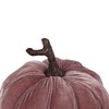 Northlight Velour Pumpkin Glittered Fall Harvest Decoration - 6.25" - Light Plum Purple - 2 of 4