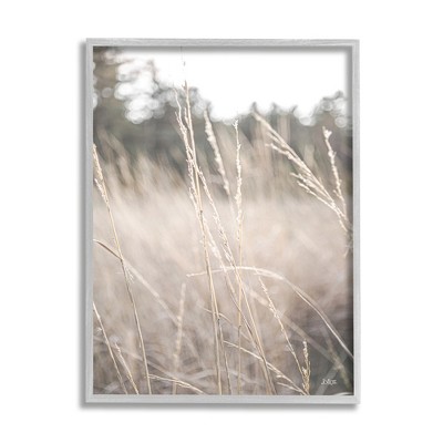 Stupell Tall Grass Countryside Field Framed Giclee