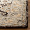 Aspen APN304 Hand Tufted Indoor Rugs - Safavieh - 3 of 4