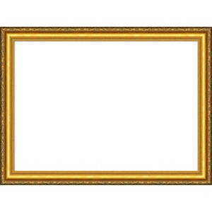 Amanti Art Colonial Embossed Gold Framed Dry Erase Magnetic Board - 1 of 4