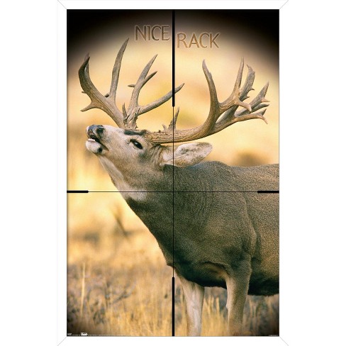 Trends International Big Buck Framed Wall Poster Prints : Target