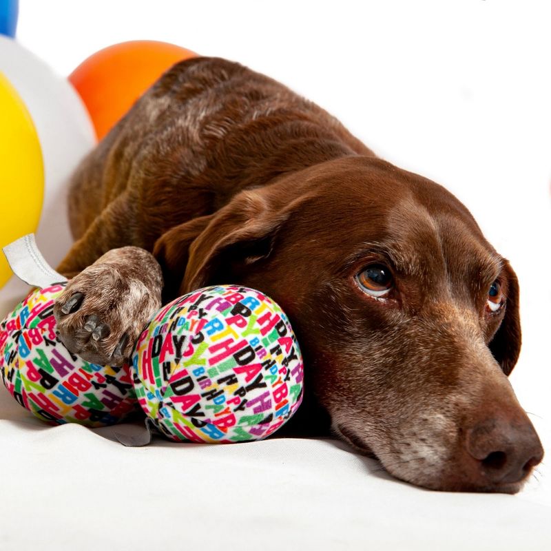 Midlee Plush Birthday Balls Dog Toy- Set of 3, 5 of 8