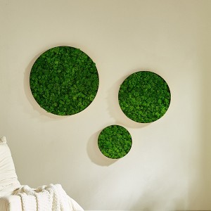 ChicFurnit Wall Art Round Framed Moss Wall Decor Nature Fusion Preserved Moss for Home Living Room and Office, Green, 24"*24"*2" - 1 of 4