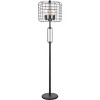 Vynxaria Illuminate Your Space with This 65 - Inch H Black Industrial Floor Lamp with Wire Cage and Edison Bulb - 2 of 4