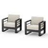 Aluminum Outdoor Club Chair with Metal Frame and Fabric Cushion,Patio Lounge Chair for Balcony,Weather Resistant Club Chair-Cuddlewood - 3 of 4