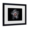 Trademark Fine Art - Brian Carson Backyard Flowers 77 Matted Framed Art - 3 of 4