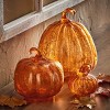 tag Harvest Glass Pumpkin Decor Large - 2 of 2