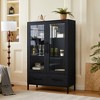 60'' Tall LED Lighted Display Cabinet with Tempered Glass Door & 2 Drawers, Modern Storage Bookshelf for Living Room, Office/Study - ModernLuxe - 3 of 4