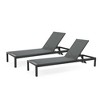 PAGED Outdoor Lounge Chairs,Outdoor Chaise Lounge with Modern Design and Backrest,Pool Lounge Chairs for Patio,Beach,Yard,Set of 2 - 4 of 4
