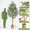 Olive Trees Artificial Indoor, Artificial Plants, Olive Tree with Planter, Fake Topiary Silk Tree with Natural Wood Trunk and Lifelike Fruits - 2 of 4