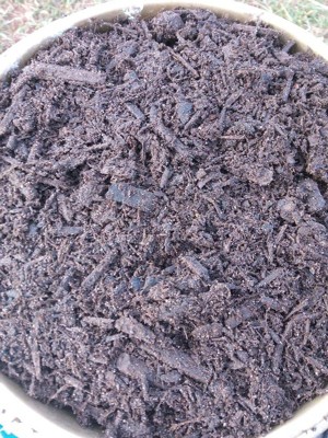 Guest review image 1 of 3, zoom in