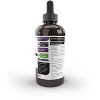 VetriScience Vetri-DMG Immune Health Dog, Cat, & Bird Liquid Formula, unflavored, 3.85 fl oz dropper - 2 of 3