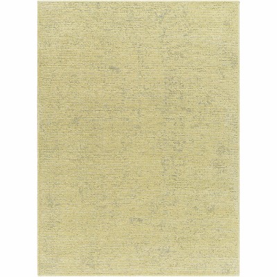 Hauteloom Isako Solid Lime Washable Area Rug