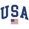 Boys Lost Gods USA Athletics T Shirt - 2 of 3