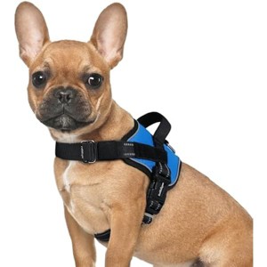 rabbitgoo Dog Harness for Small, Easy Service Harness with D-Ring & Handle, Reflective for Safety Walking, Training, Blue, S - 1 of 1