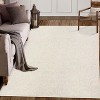 Acekool 5x7 Machine Washable Rug, Modern Non-Slip Minimalist Area Rug, Stain Resistant, Foldable Neutral Accent Carpet for Living Room, Black - 3 of 4