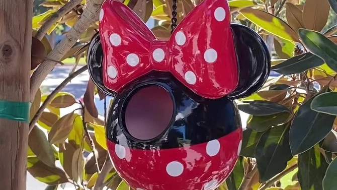 Disney 7" Minnie Mouse Hanging Resin Birdhouse, 2 of 6, play video