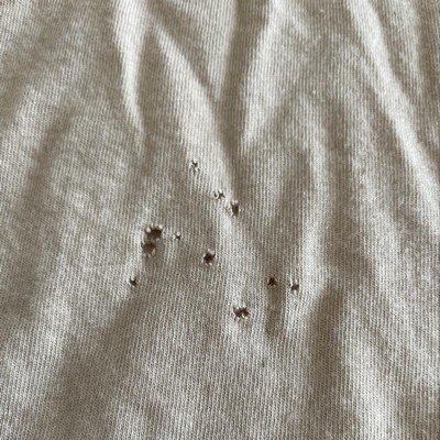 Guest review image 1 of 1, zoom in