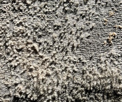Guest review image 1 of 2, zoom in