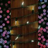 Novelty Lights M5 LED Christmas String Lights 50 Mini Bulbs (Green Wire, 25 Feet) - 4 of 4