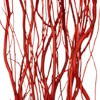 crimson edge decor kit