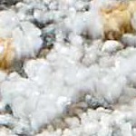 light gray, medium brown, gray, medium gray, dark brown