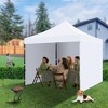 Commercial Canopy Tent with 4 Removable Sidewalls, 10x10 Pop Up Canopy Tent - 3 of 4