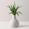 Succulent Plant Pick (Set of 6) - 2 of 3