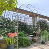 Metal Garden Arch W55'' x H94.5'' Garden Arbor Trellis Climbing Plants Support Rose Arch Outdoor Arch Cream White - 4 of 4